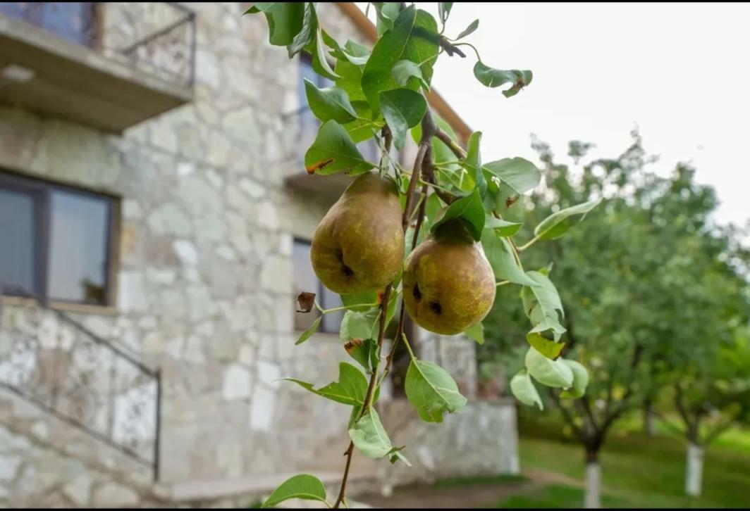 Guest House Ijevan'S Garden Exterior foto